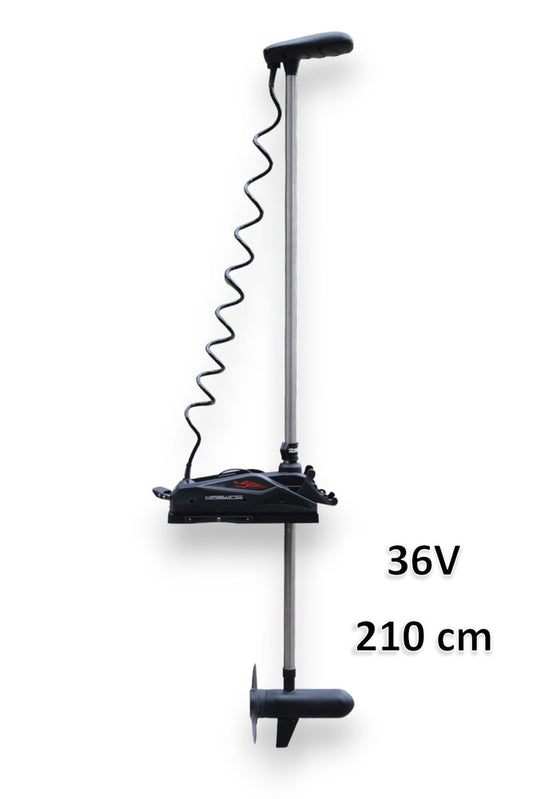 Haswing Cayman B GPS 120lbs 36V - 50738 - BLACK