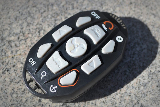 Haswing Remote Control - Gen 1.6