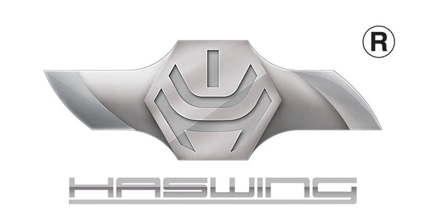 HaswingMotors